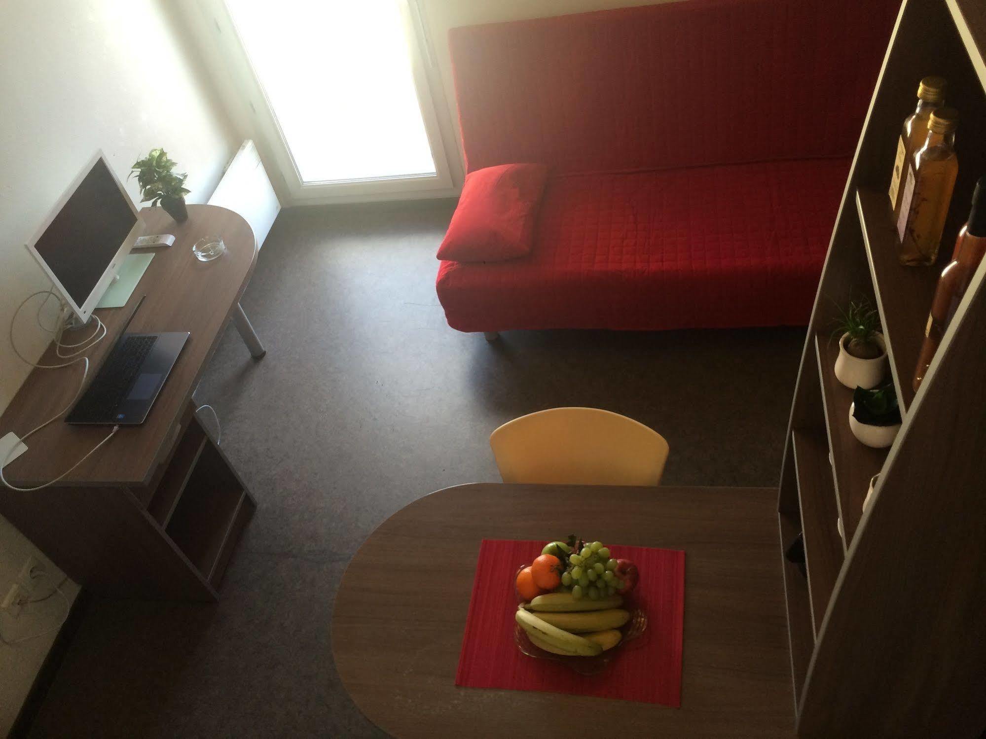 リヨン Le Patio Des Traboulesアパートホテル エクステリア 写真